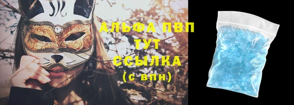 ПСИЛОЦИБИНОВЫЕ ГРИБЫ Пестово